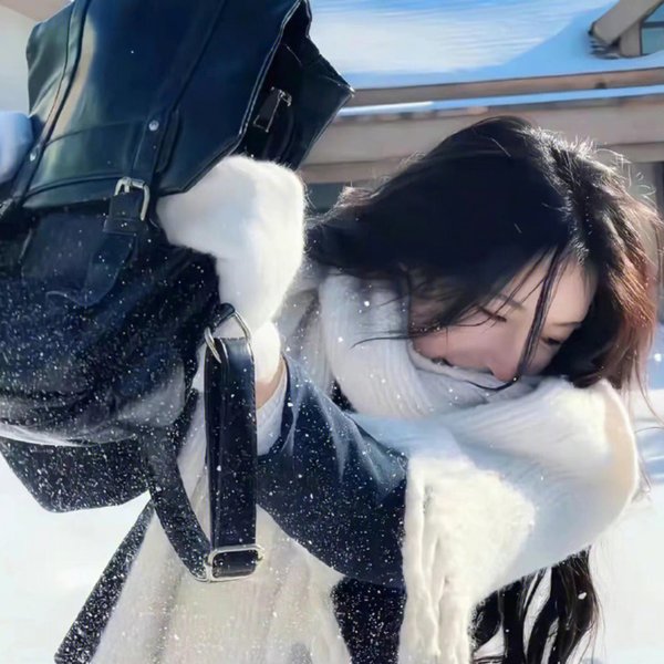 鸽之翼
